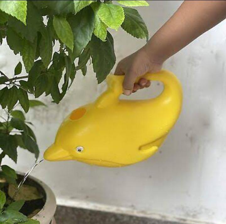 Garden Dolphin Design Water Pot