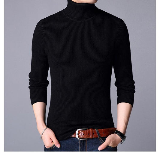 Ribbed Plain Highneck