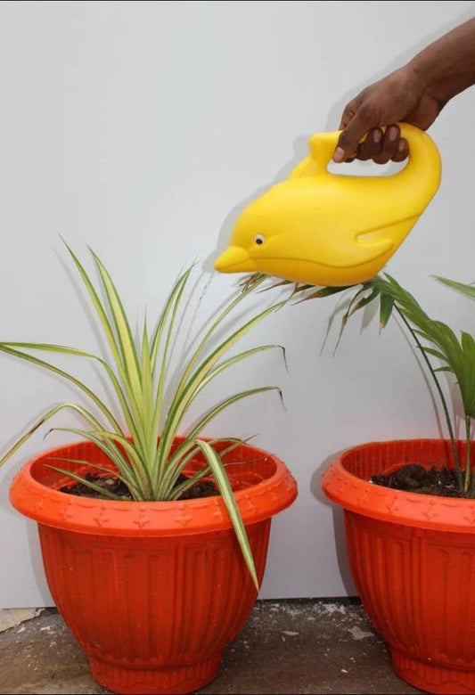 Garden Dolphin Design Water Pot