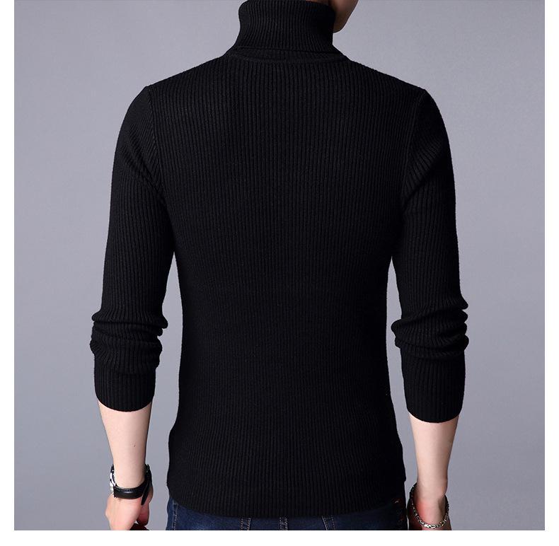 Ribbed Plain Highneck