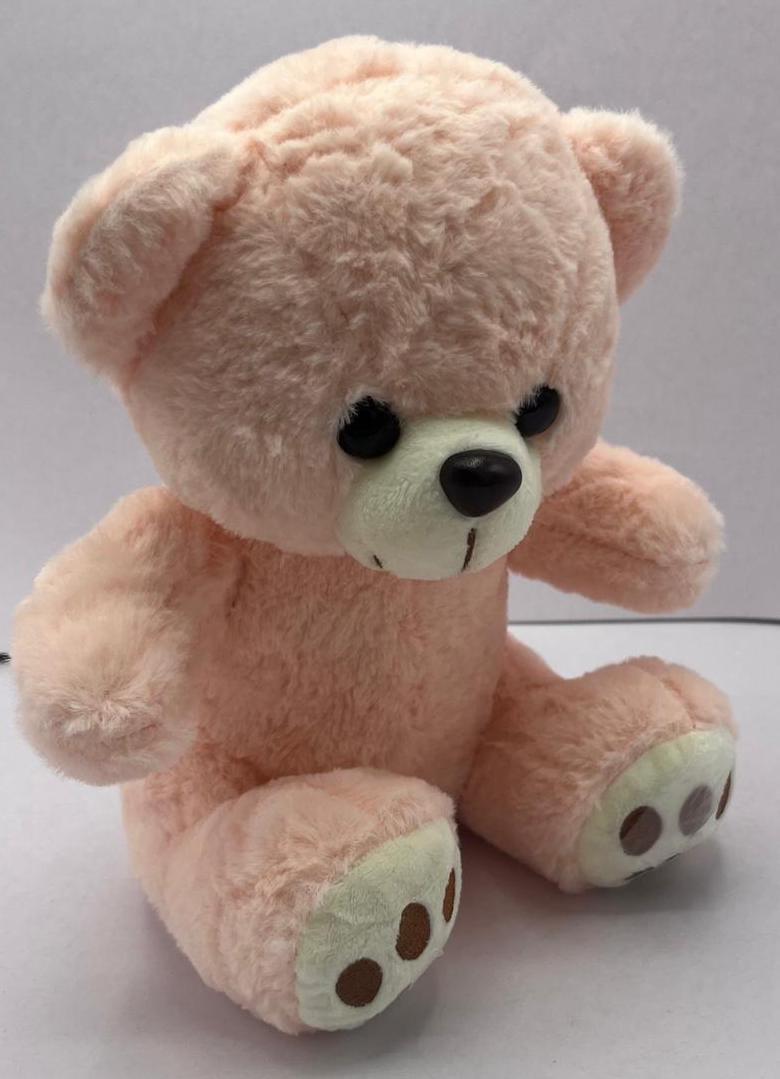 Teddy Bear For Kids