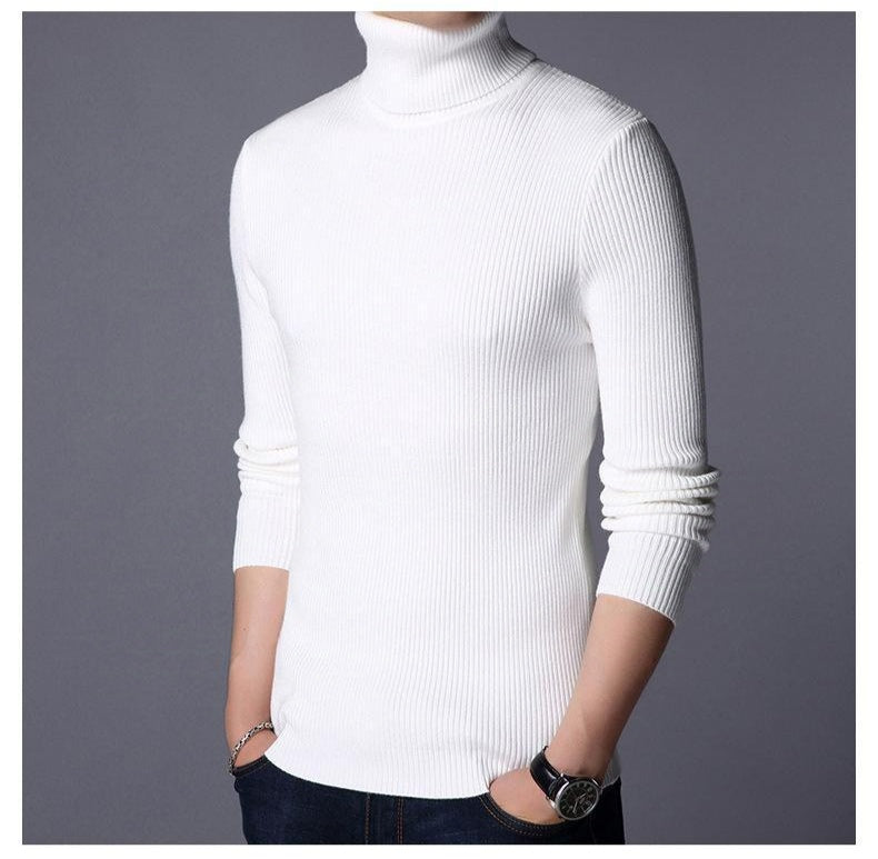 Ribbed Plain Highneck