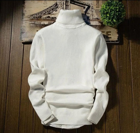 Cotton Plain Highneck